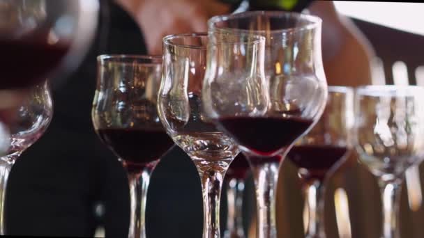 Vinho é derramado para um povo em uma degustação de vinhos . — Vídeo de Stock