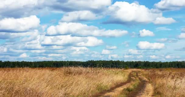 Wiese mit Wolken im Zeitraffer — Stockvideo