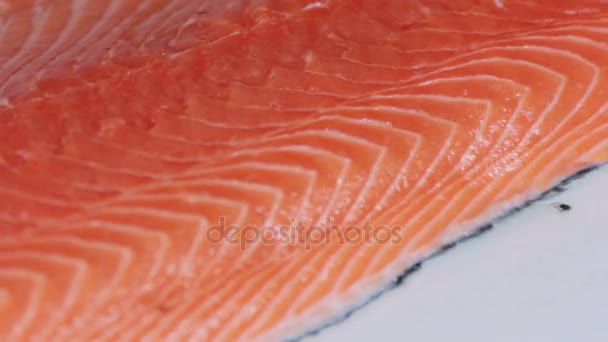 Sushi Chef Slices Salmón fresco en el bar de sushi. 9 disparos — Vídeos de Stock