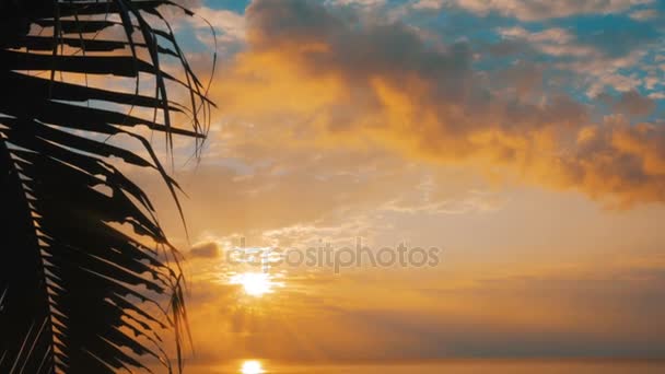 Incredibile tramonto sulla spiaggia tropicale — Video Stock