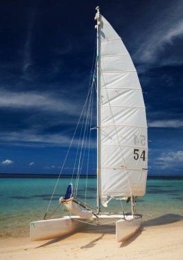 Yelkenli tekne, katamaran, mavi su ile tropik sahilde