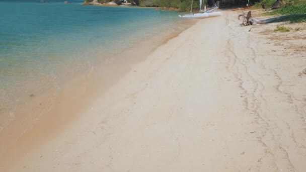 Żaglówka, katamaran, na tropikalnej plaży niebieski woda — Wideo stockowe