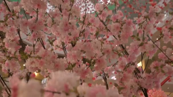 Vidéo 4 en 1. Décorations pour Nouvel An chinois traditionnel — Video