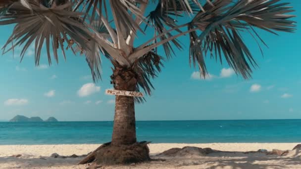 6 in 1 video. Tropisch strand in zonnige dag — Stockvideo