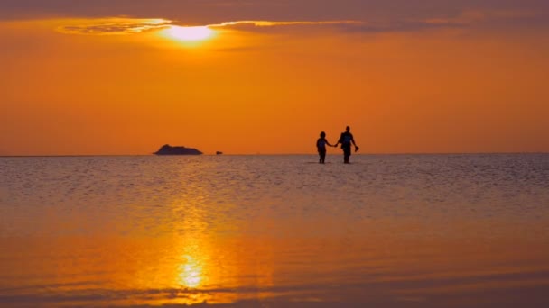 Paar wandelen in zee bij zonsondergang — Stockvideo
