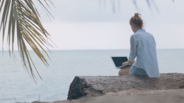 Nő szabadúszóként dolgozik a strandon — Stock videók
