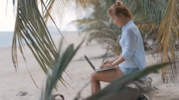 Mujer freelancer trabaja en la playa — Vídeos de Stock