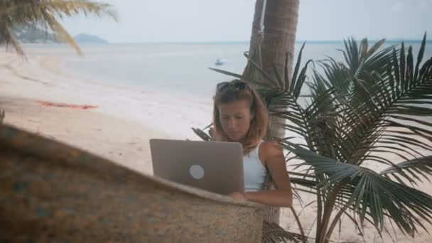 女自由职业者在海滩上的吊床上工作 — 图库视频影像