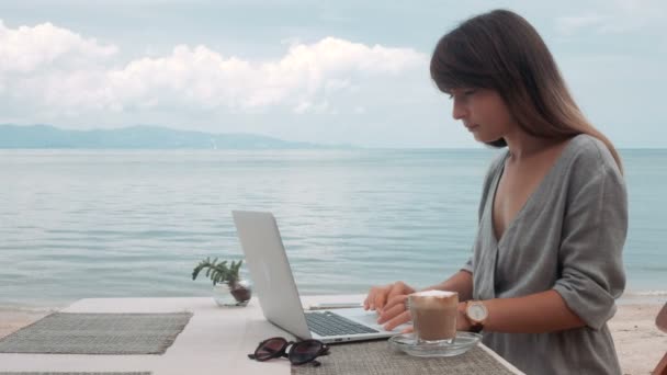 Ευτυχισμένος νέοι όμορφη γυναίκα χρησιμοποιώντας το φορητό υπολογιστή, σε εξωτερικούς χώρους — Αρχείο Βίντεο