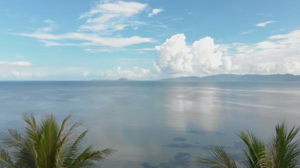 Volo della telecamera fino alla spiaggia con palme in resort di lusso — Video Stock