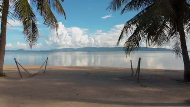 Voo de uma câmera até a praia com palmeiras para o mar em resort de luxo — Vídeo de Stock