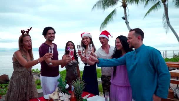 Group of happy people of mixed race friends celebrate Christmas and New Year — Stock Video