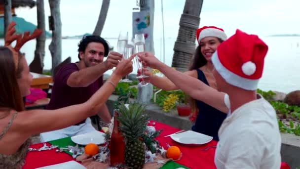 Group of happy people of mixed race friends celebrate Christmas and New Year — Stock Video