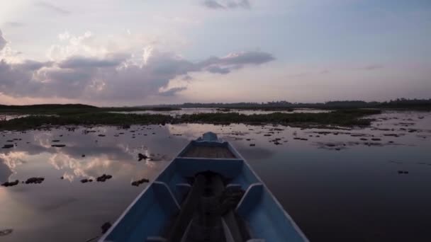 Bootsfahrt auf dem Sumpfland bei Sonnenuntergang — Stockvideo