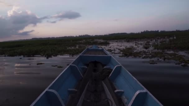 Barco navegando no pântano ao pôr do sol — Vídeo de Stock