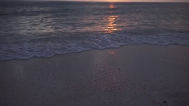 Тропический пляж на закате — стоковое видео