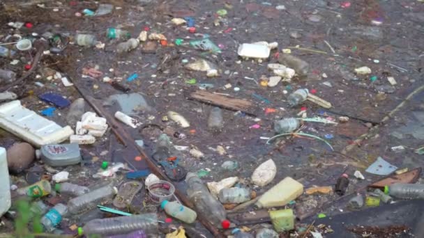 Su kirliliği, boş plastik şişe — Stok video