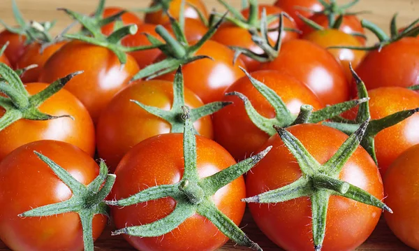 Contexte de la tomate rouge — Photo