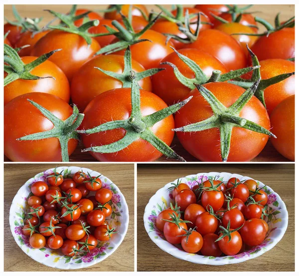 Червоний помідор в тарілці — стокове фото