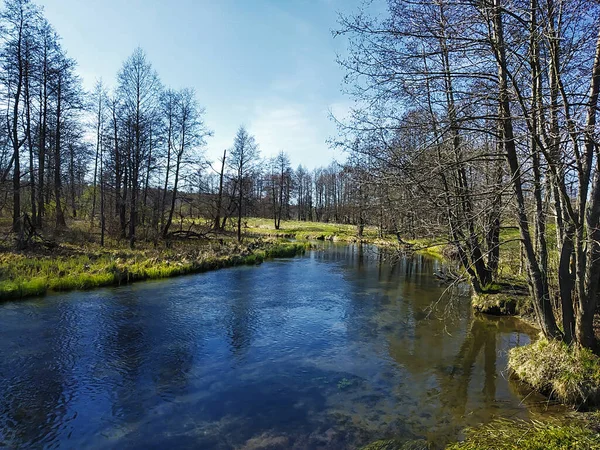 Landscape Small Stream Blue Water Spring Length Time Rural Terrain — Stock Photo, Image