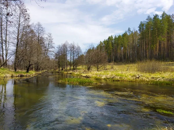 Táj Kis Patak Kék Víz Tavaszi Hosszúsága Vidéki Terep Háttér — Stock Fotó