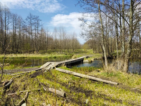 Den Gamla Träbron Genom Bäcken Vårlandskapet Bakgrunden Blå Himmel Solar — Stockfoto