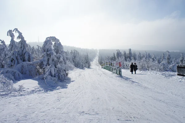 Cross country ski track on the Fichtelberg — Stock Photo, Image