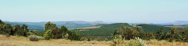 Panorama en el Long Tom Pass — Foto de Stock