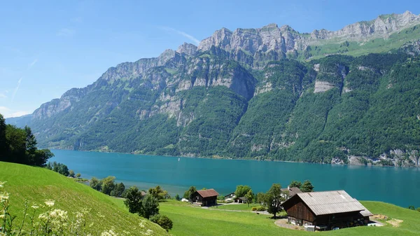 Bondgård på sjön — Stockfoto