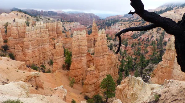 Photo Shows Fantastic View Red Rock Needles Bruce Canyon National — Stock Photo, Image