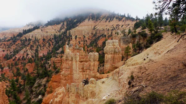 Das Bild Zeigt Die Landschaft Bryce Canyon Nationalpark Utah Den — Stockfoto