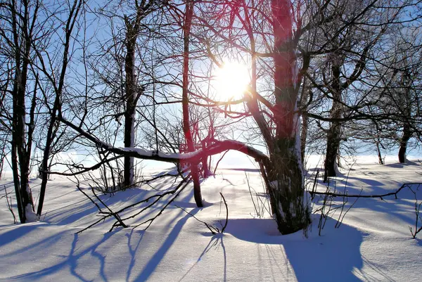 Ein Sonniger Wintertag Erzgebirge Licht Und Schatten Fotografiert Gegen Die — Stockfoto