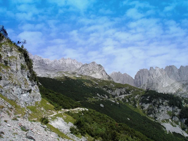 Middle Picture Hiking Trail Leads Uphill Mountain Pines Background Steep — Stock Photo, Image