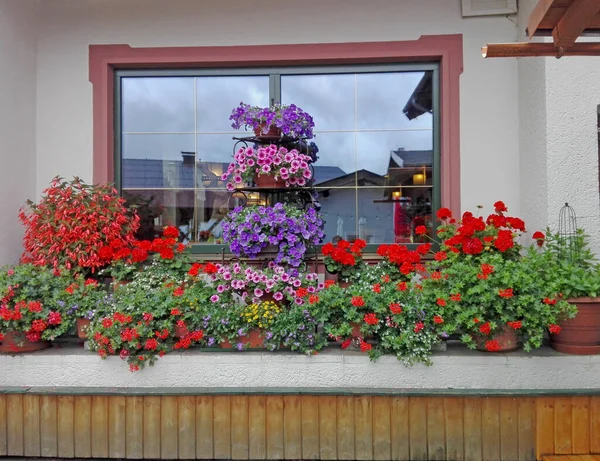 Flower Decoration Window Lechtal Tyrol Austria Colourful Flowers Red Blue — 图库照片