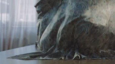 Kumaş güzel yavaş masanın üzerine düşüyor. Eller bir bez ile çalışmak.