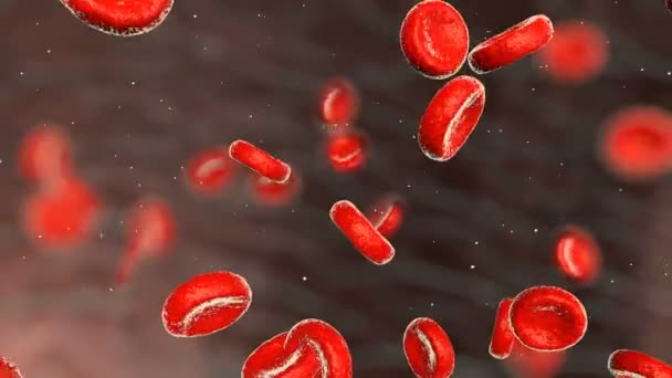 Gerçekçi bir arter kan hücreleri. Eritrositler kan akışında taşıma. — Stok video