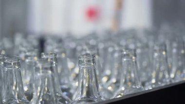 Cam şişe fabrikası. Konveyör bant. Portre