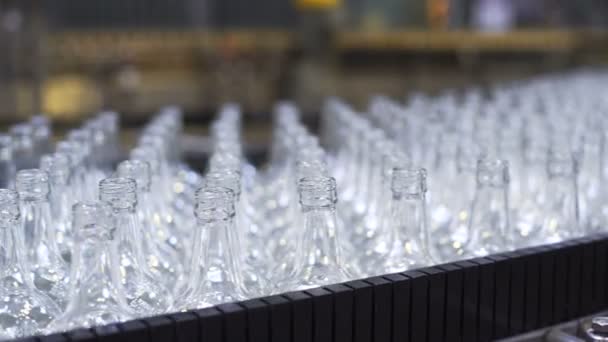 Bier fles fabriek. Transportband. Close-up — Stockvideo