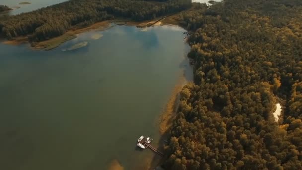 Légifelvételek. Repül át a gyönyörű területeken folyó és a gyönyörű erdő — Stock videók