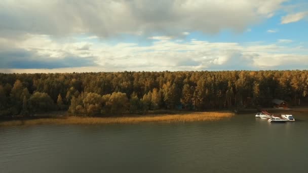 Полет над лесами и рекой. Форест Вэлли Осенние поля на закате — стоковое видео