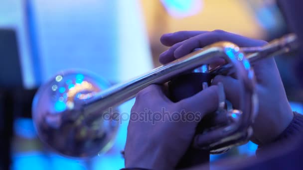 Mani di musicista professionista che suona lo strumento musicale al concerto o alla festa — Video Stock