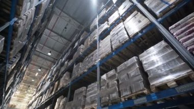 Lojistik iş ve tesis Stapler ile nakliye kutuları ve paketler taşıma