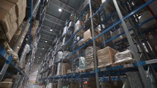Cámara moviéndose entre paletas con mercancías y materiales ordenados en almacén — Vídeos de Stock