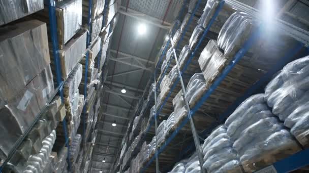 Traslado entre paletas con mercancías y materiales pedidos en almacén — Vídeo de stock