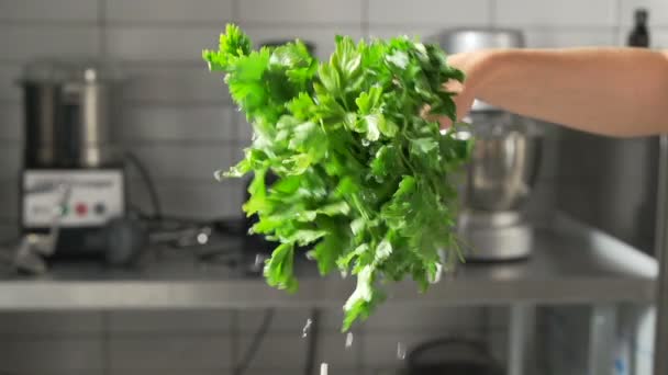 Az élelmiszer-egészségügy. Nő feldobás ízletes Bio zöld salátával. Friss saláta víz spray — Stock videók