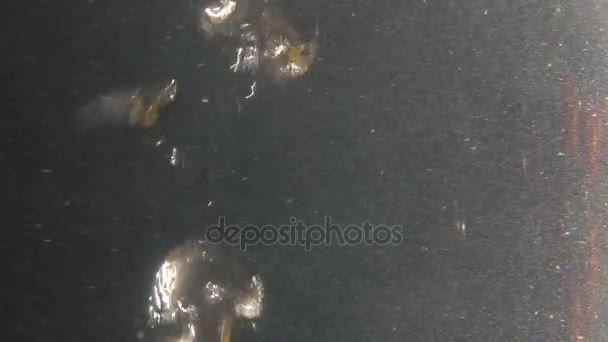 Les pâtes tombent dans l'eau bouillante. Bulles d'eau bouillante. Gros plan sur Dolly. Moteur lent 