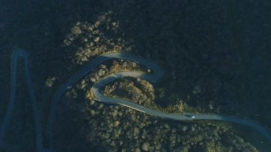 Eğri yolun yeşil orman arabaya ile havadan görünümü