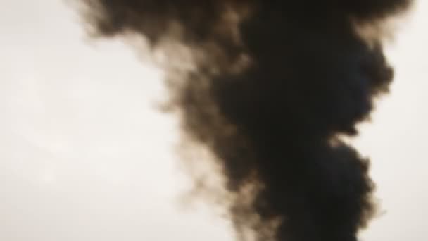 Mann hält Rauchbombe mit schwarzem Qualm in der Hand — Stockvideo