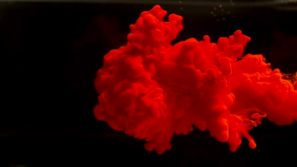 Чернила в воде замедленной съемки многоцветные — стоковое видео