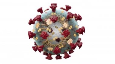 Makro Nucleus Coronavirus Hücreleri Organizma çizimlerinde Yayılıyor ve Yüzüyor